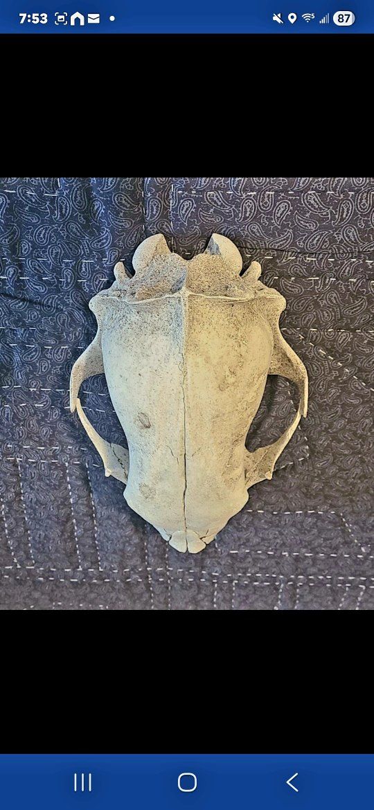 Main image 8