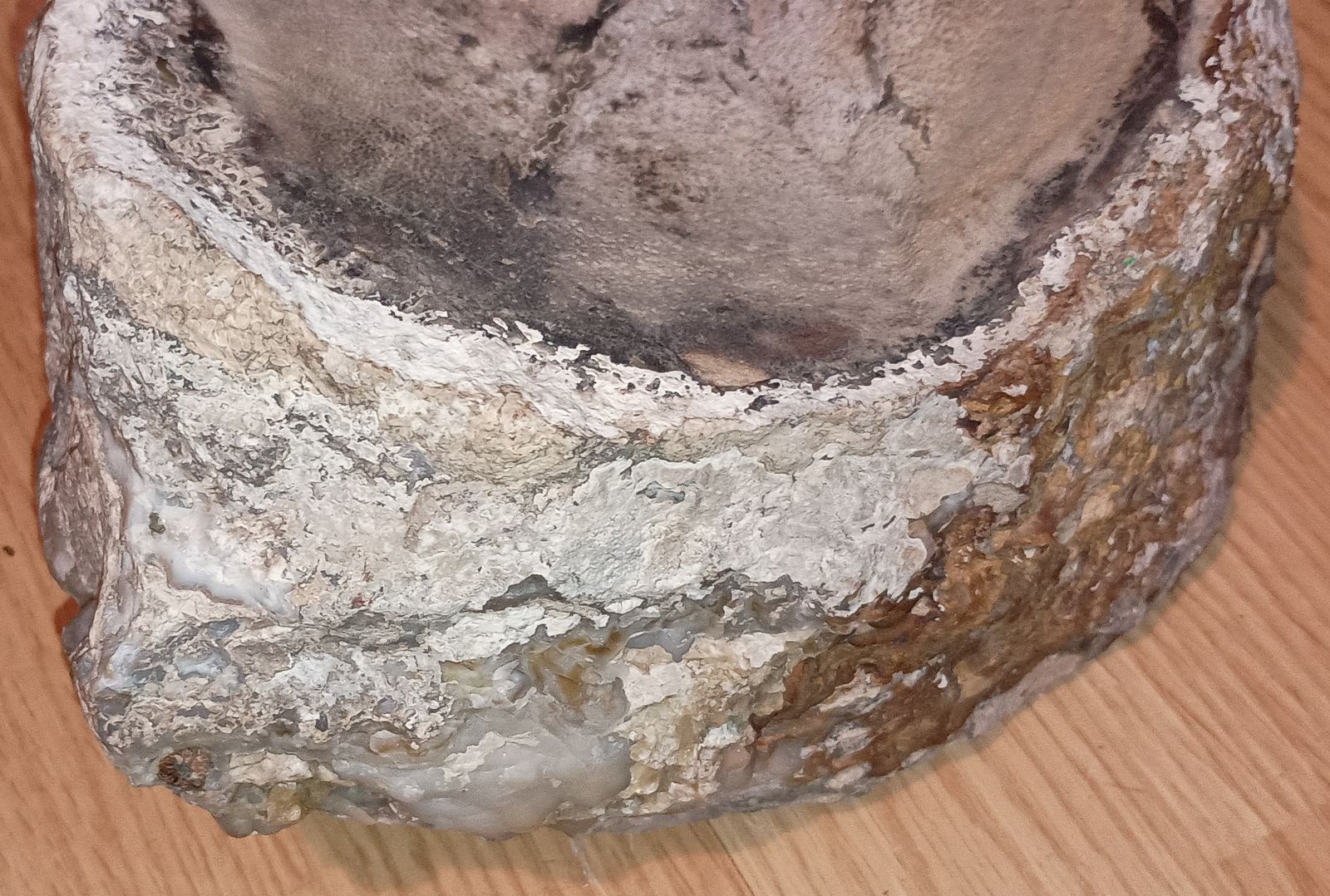 Main image 4