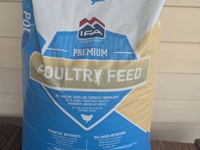 Poultry Feed - FREE