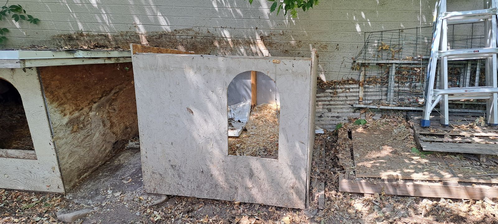 Dog Houses