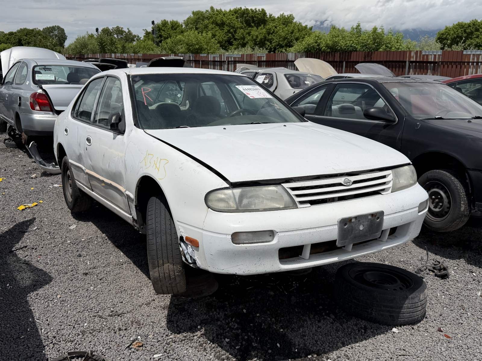 Just In! 1997 Nissan Altima Parts - UTPAP Ogden