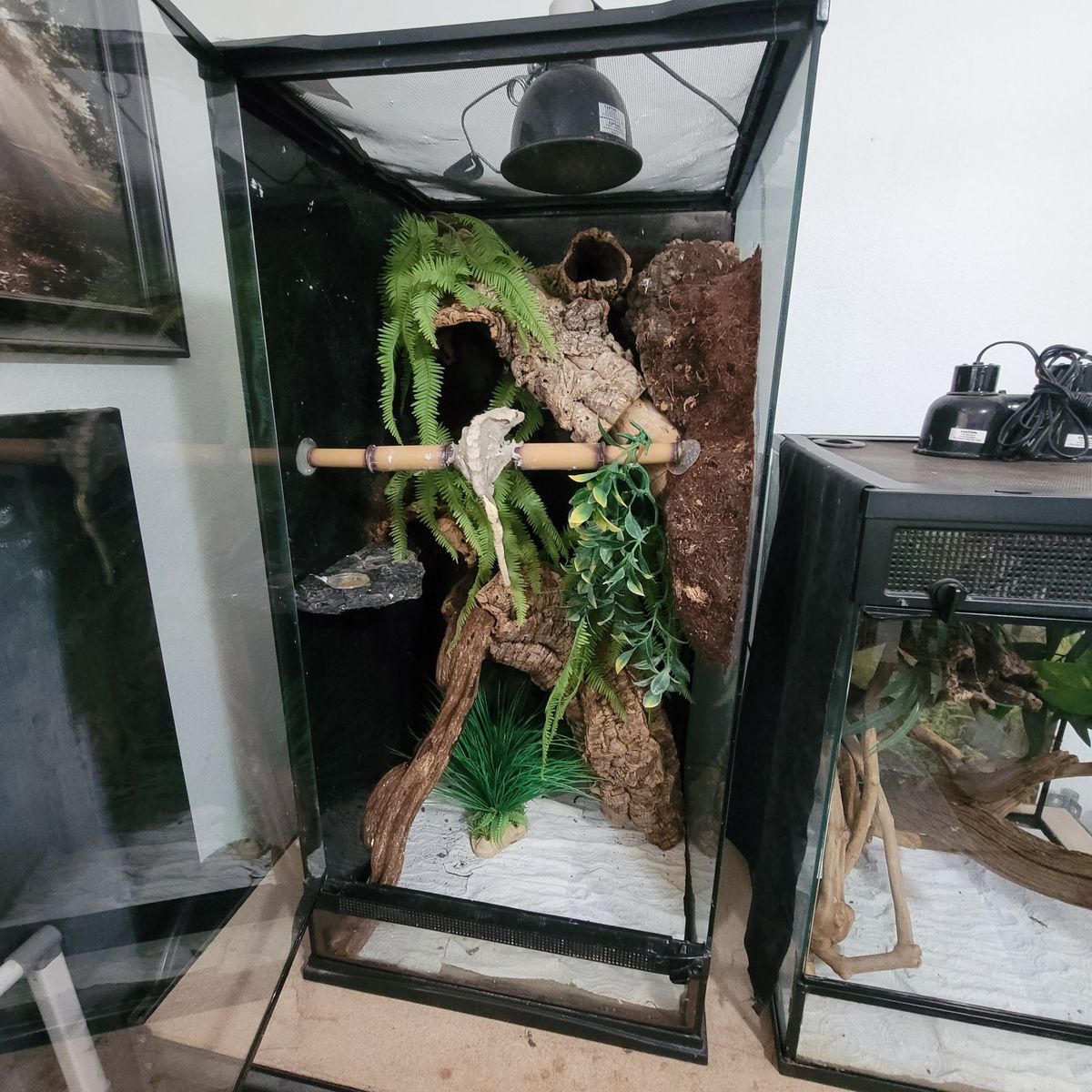 Main image 3