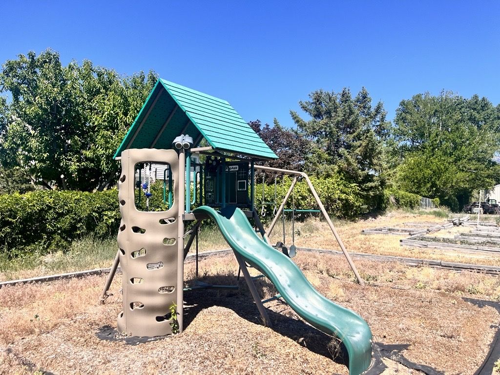 Main image 2