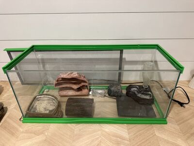 Reptile Terrarium