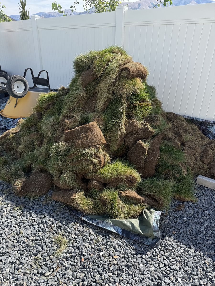 Free Sod