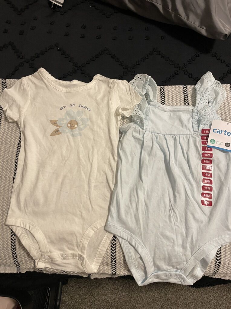 18 Month Baby Onesies