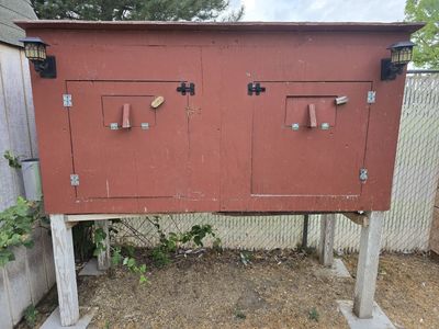 Roller Pigeon Kit Box