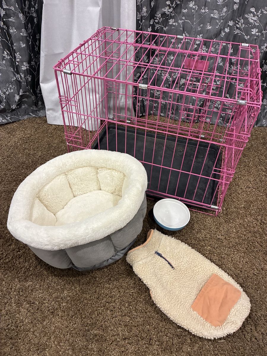 Dog kennel and supplies