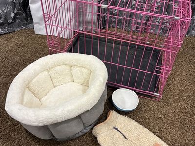 Dog kennel and supplies
