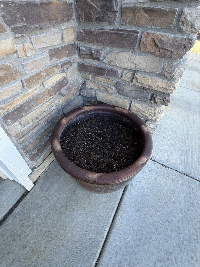 Main image 7