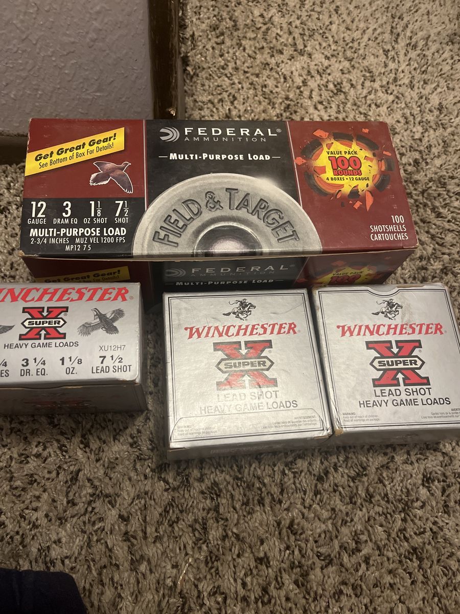 12 Gauge Shotgun Shells