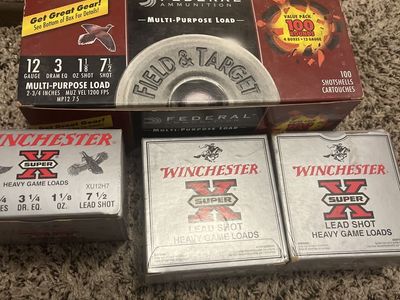 12 Gauge Shotgun Shells