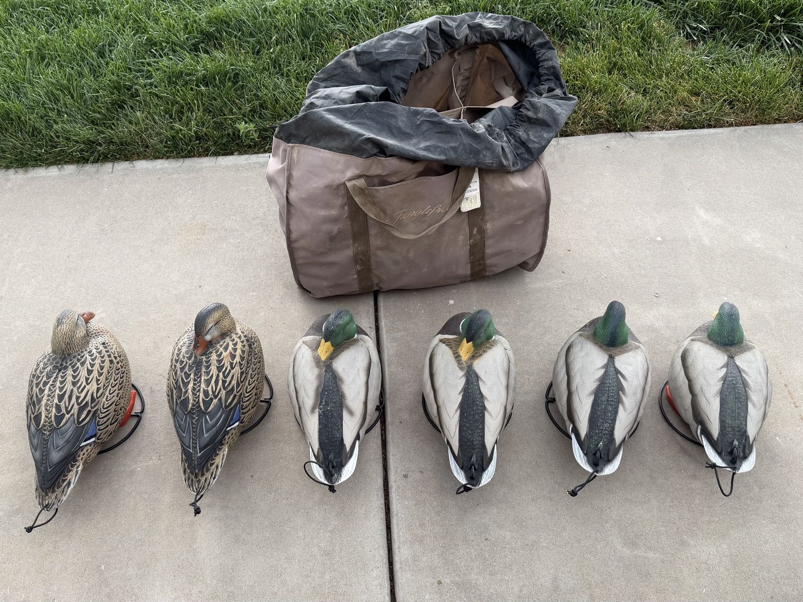 Tanglefree Full Body Mallard Sleeper Decoys (6-Pack: 4 Drakes, 2 Hens) with Slotted Bag