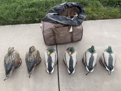Tanglefree Full Body Mallard Sleeper Decoys (6-Pack: 4 Drakes, 2 Hens) with Slotted Bag
