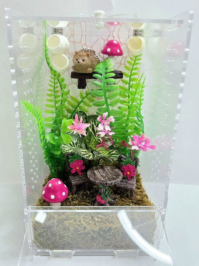 Jumping spider enclosures
