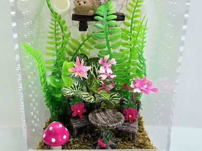 Jumping spider enclosures