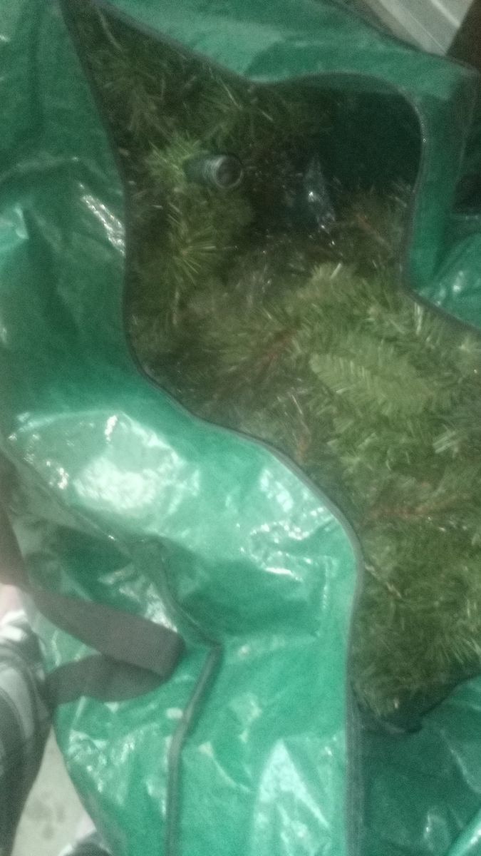 Christmas tree in bag