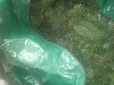 Christmas tree in bag