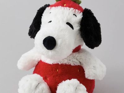 Snoopy Strawberry Warmie