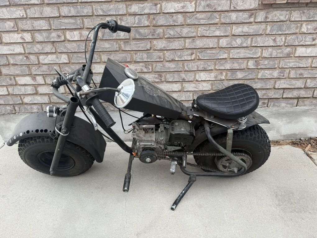 Baja Custom Mini Bike