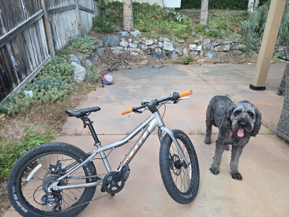 Scott Scale RC 200 Rigid Kids Mountain Bike - Silver/Orange, Fat Tires