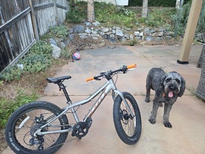 Scott Scale RC 200 Rigid Kids Mountain Bike - Silver/Orange, Fat Tires