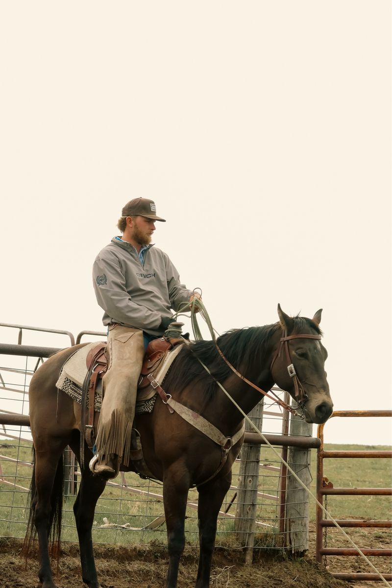 9 yr old Cowboy Horse Deluxe