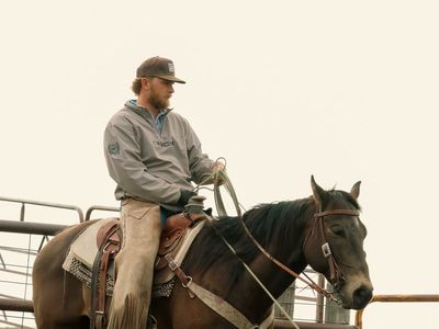 9 yr old Cowboy Horse Deluxe
