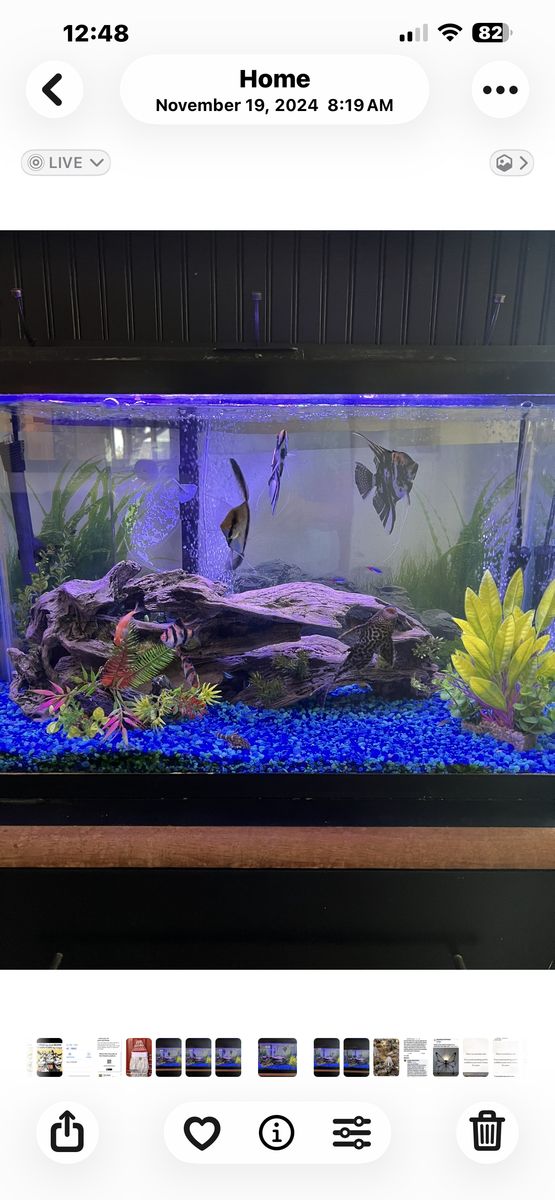 30 Gal Aquarium