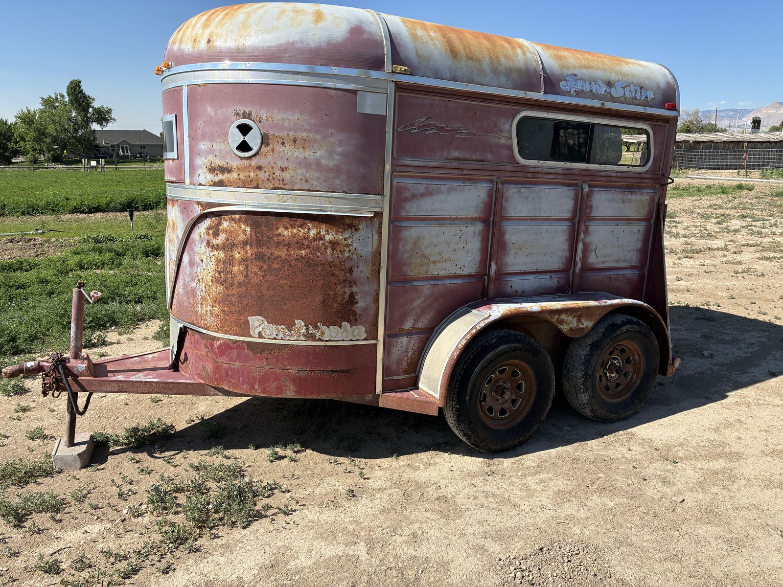 Larger 2 horse Trailer