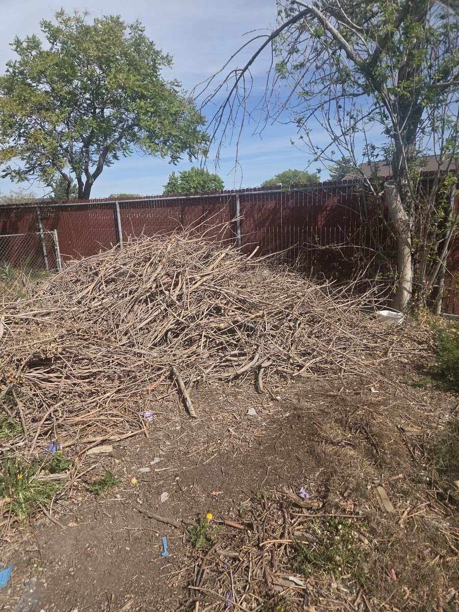 Free sticks/limbs