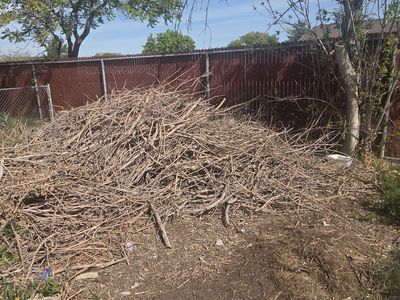 Free sticks/limbs