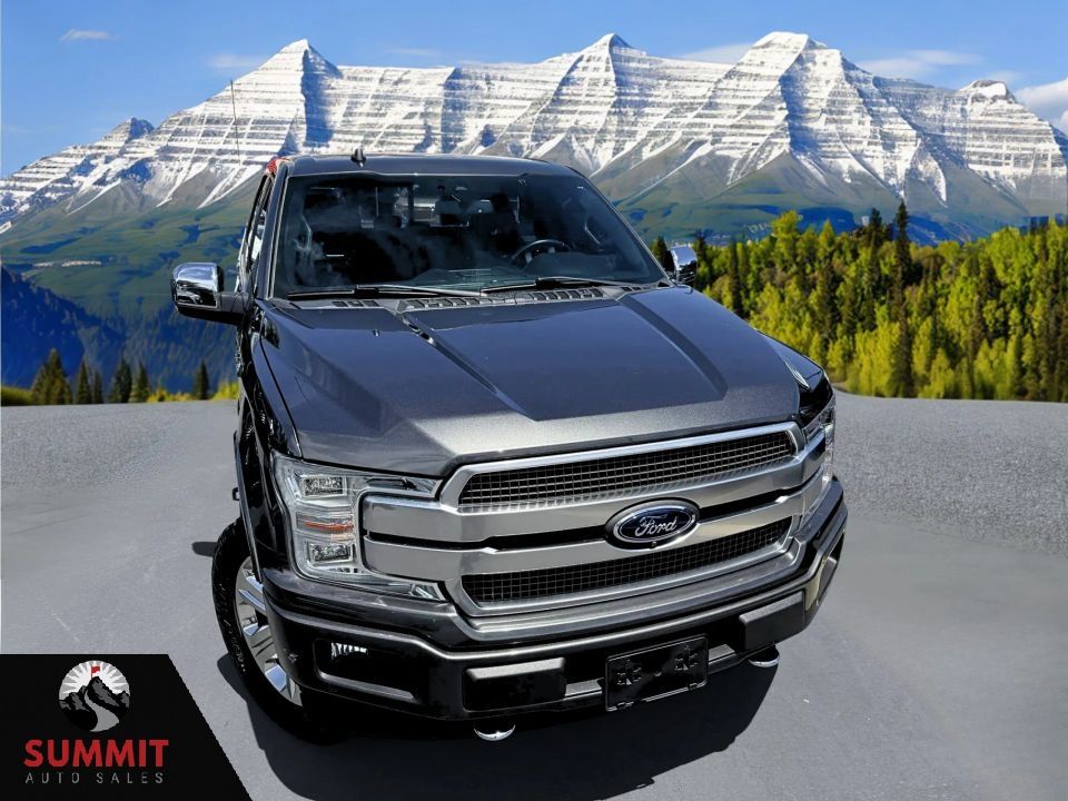 2020 Ford F-150 Platinum