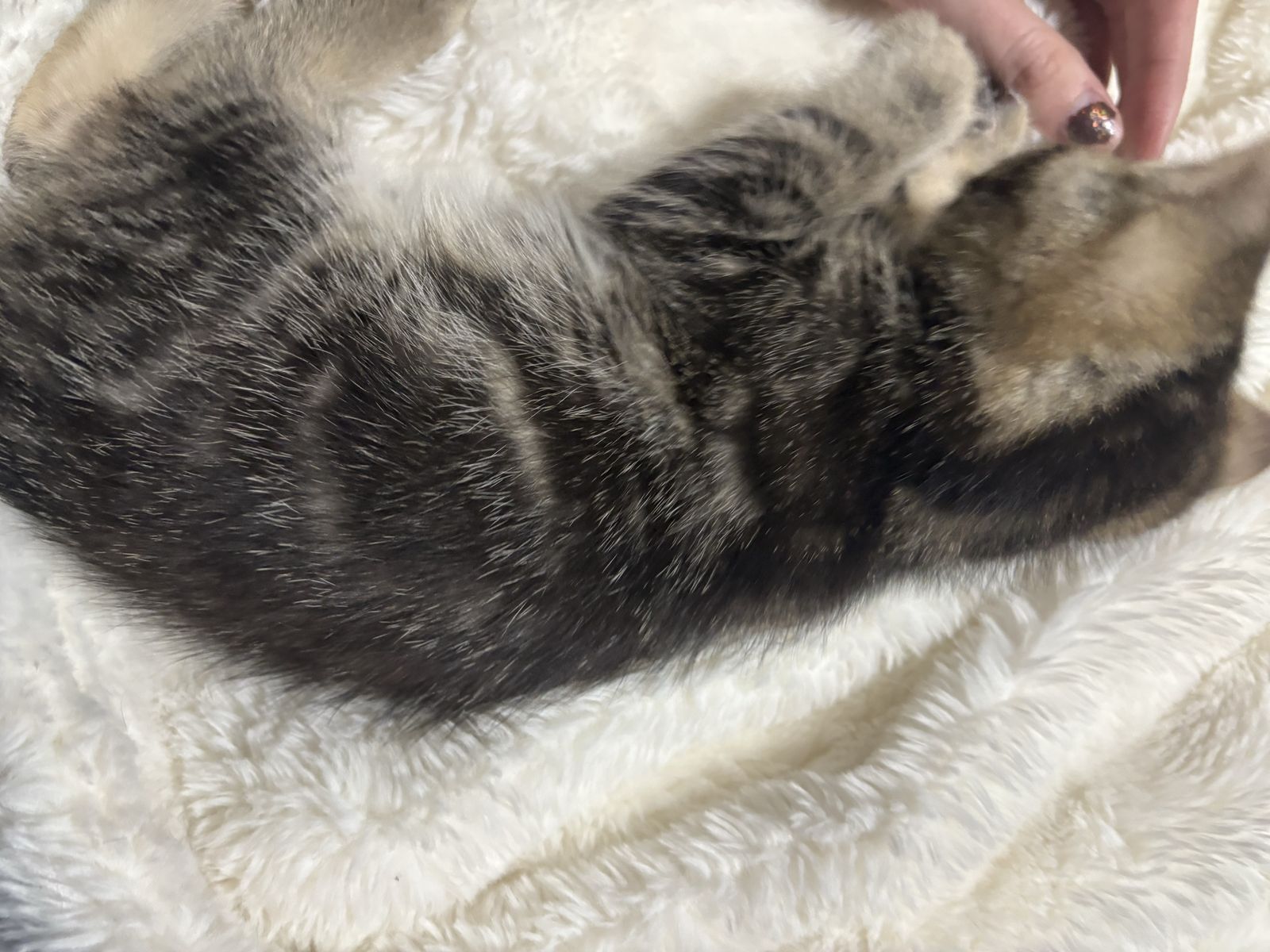 Main image 122