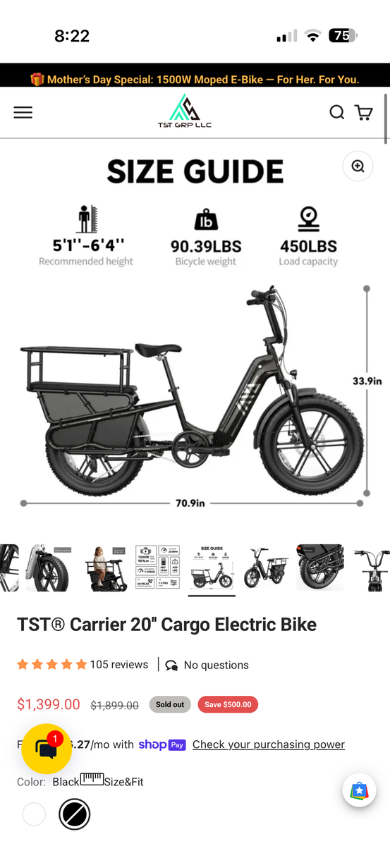 TST Ebike