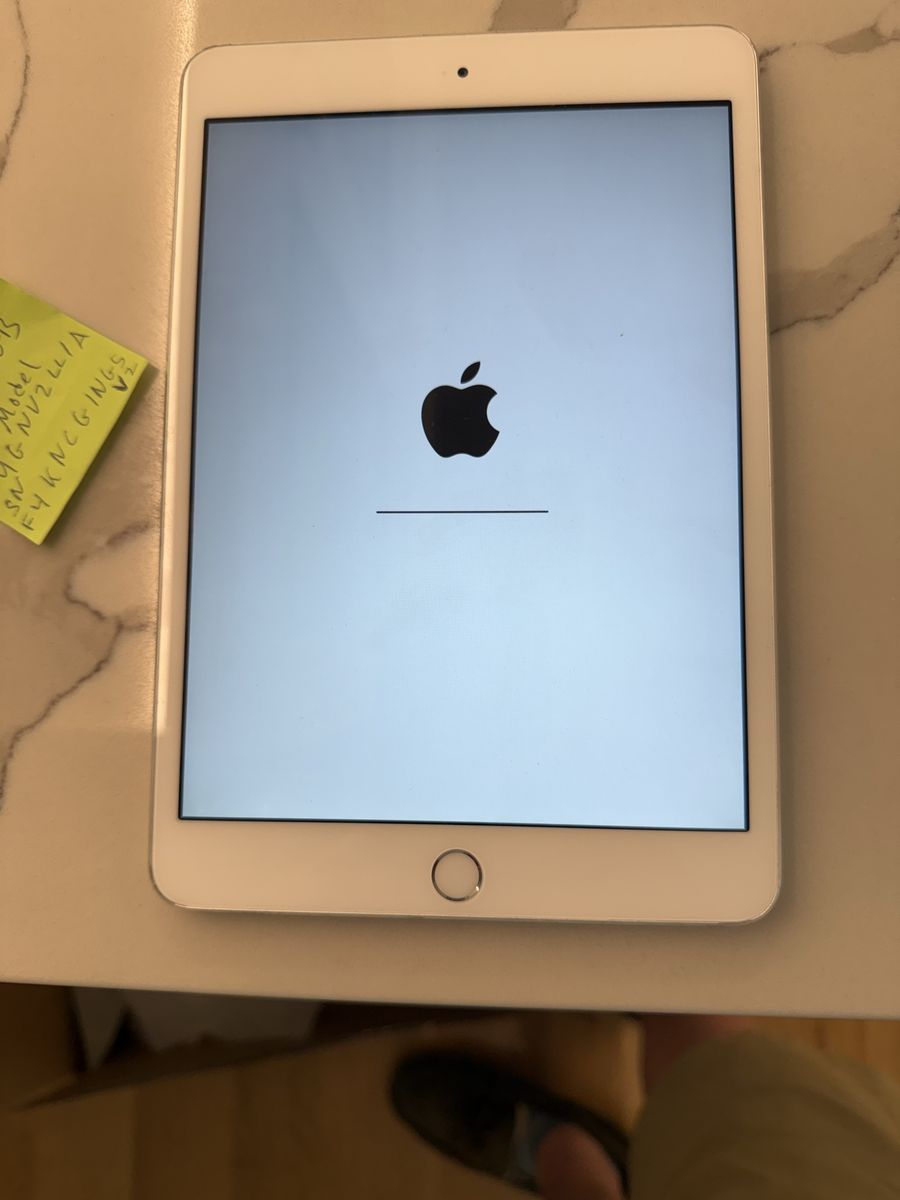 iPad mini 3