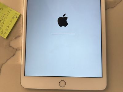 iPad mini 3