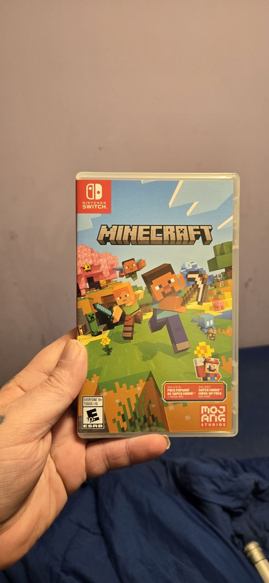 Minecraft for Nintendo switch