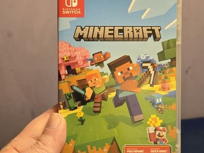 Minecraft for Nintendo switch