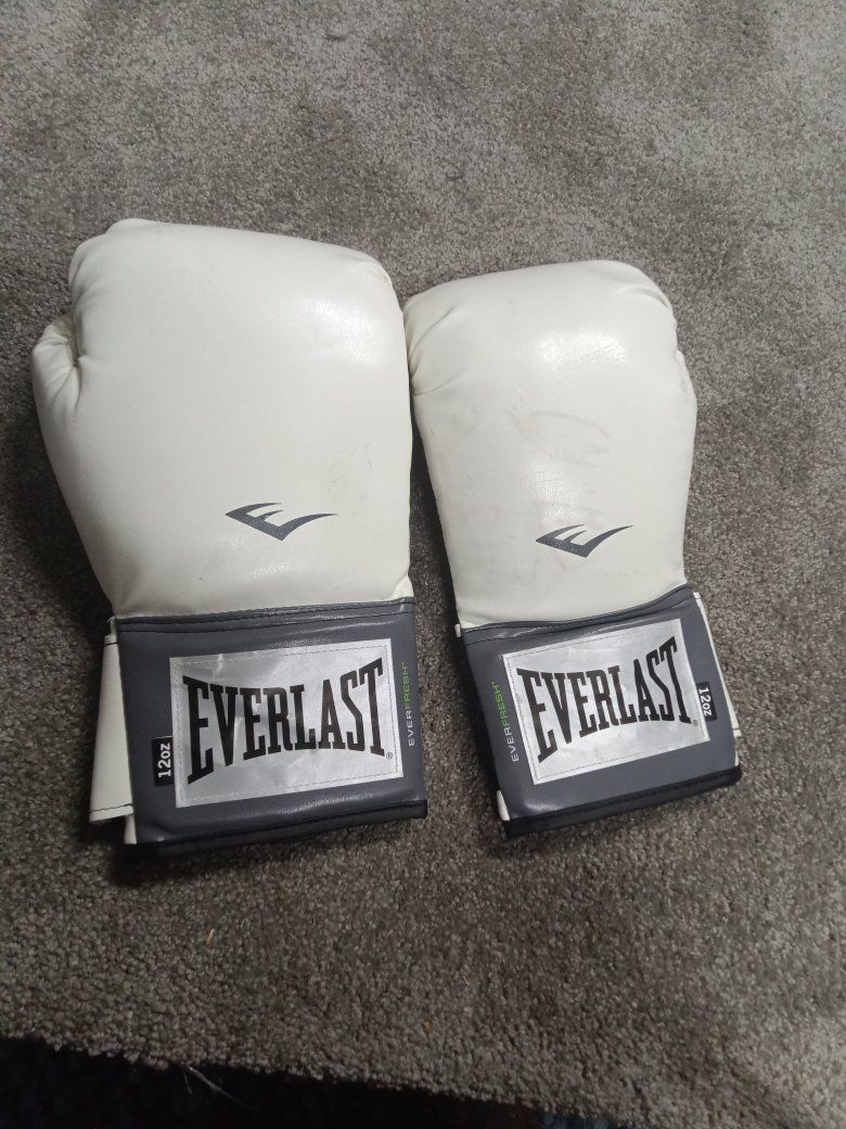 Everlast 12oz Boxing Gloves New!