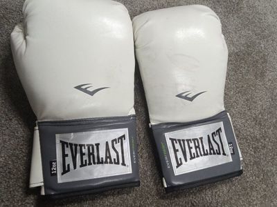 Everlast 12oz Boxing Gloves New!
