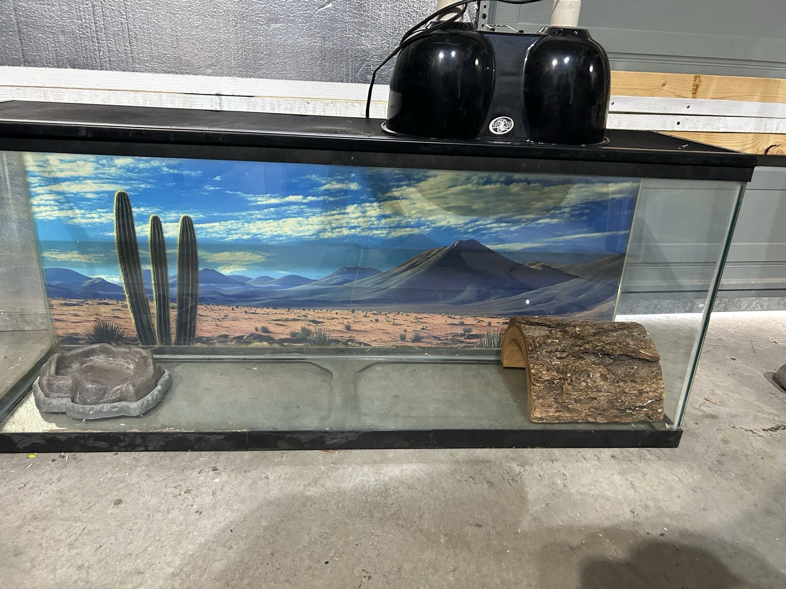 55 gallon tank