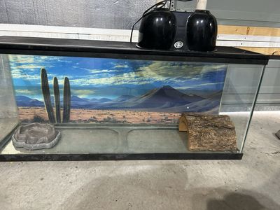 55 gallon tank