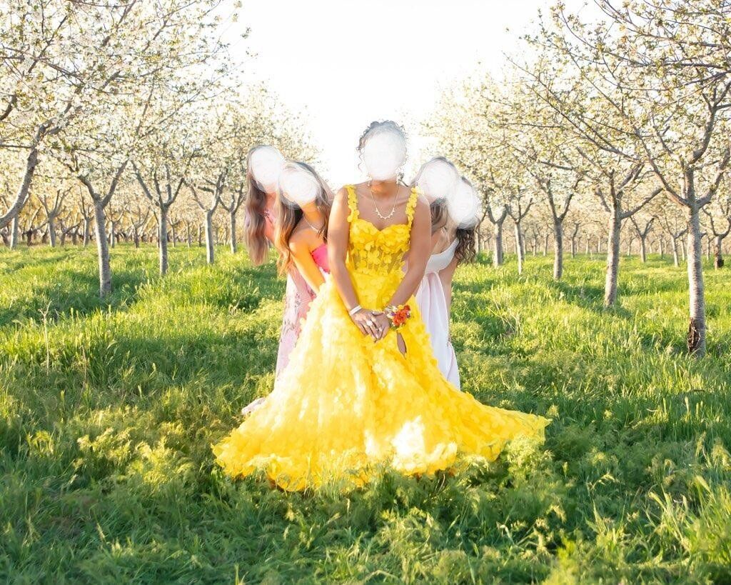 2025 Morilee Prom Dress