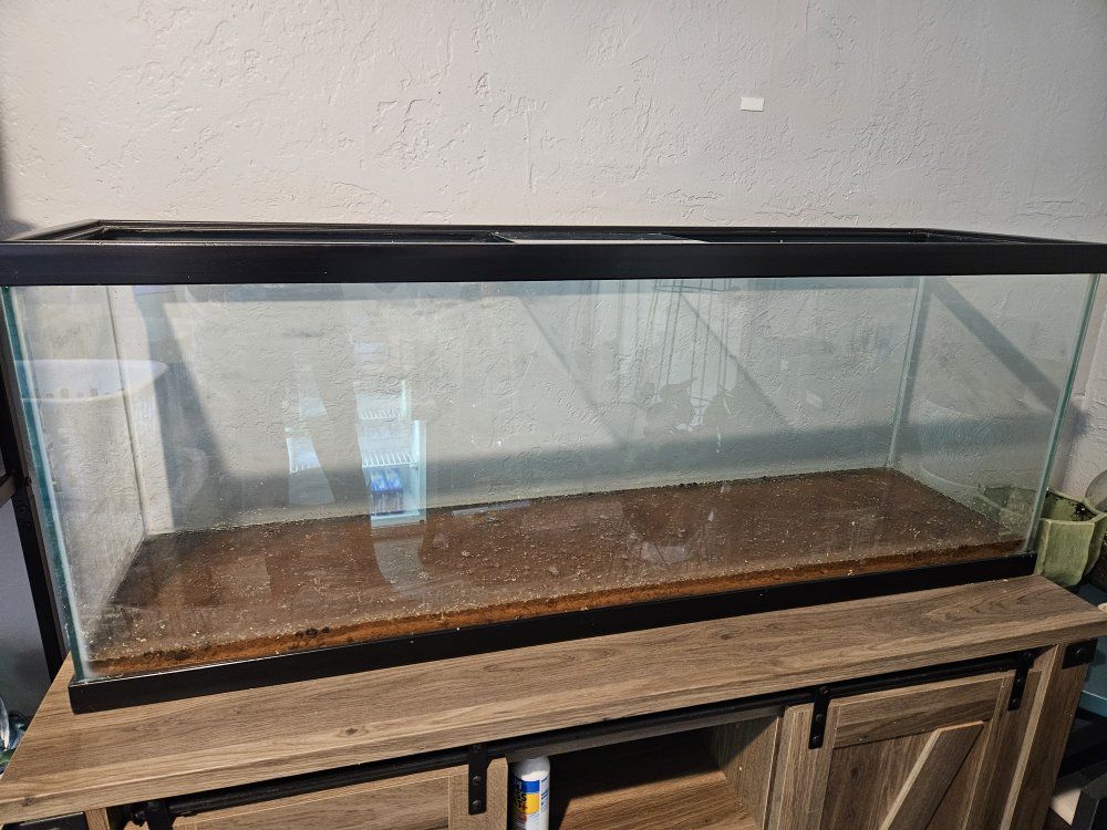50 gallon fish tank with stand and equipment
