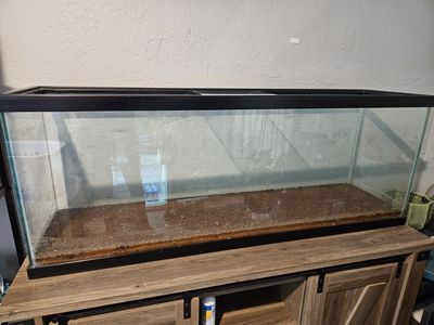 50 gallon fish tank with stand and equipment