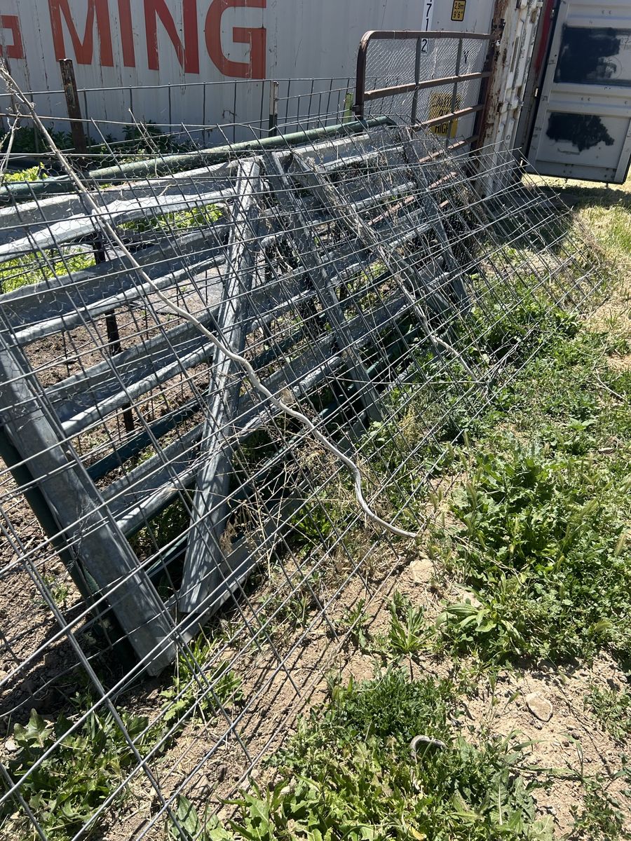 Old fence panels 20$ each