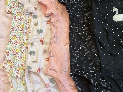 Baby girl onesie bundle (9 months)