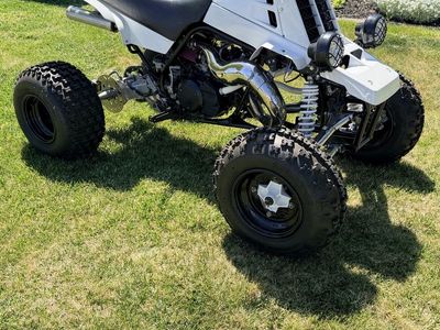 Super clean 89 banshee