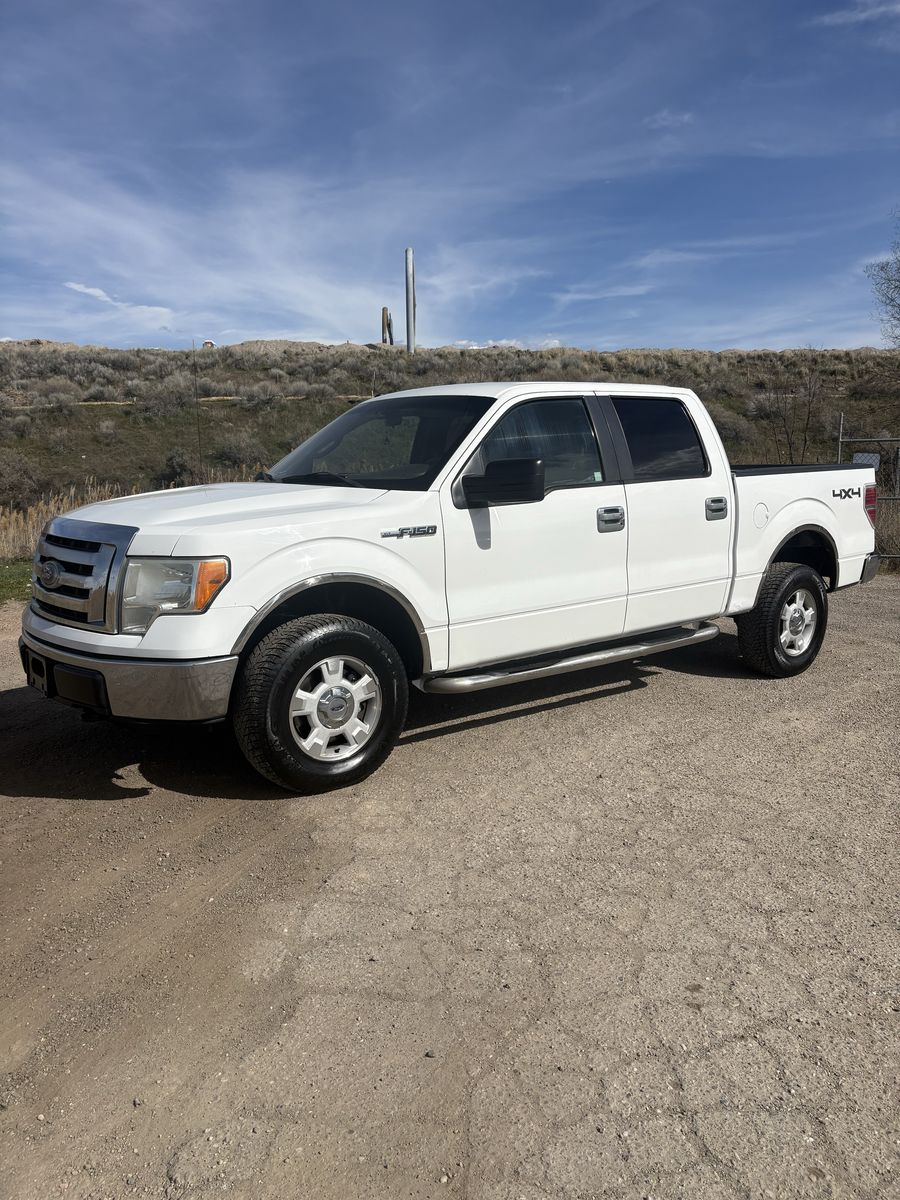 2010 FORD F150 XLT